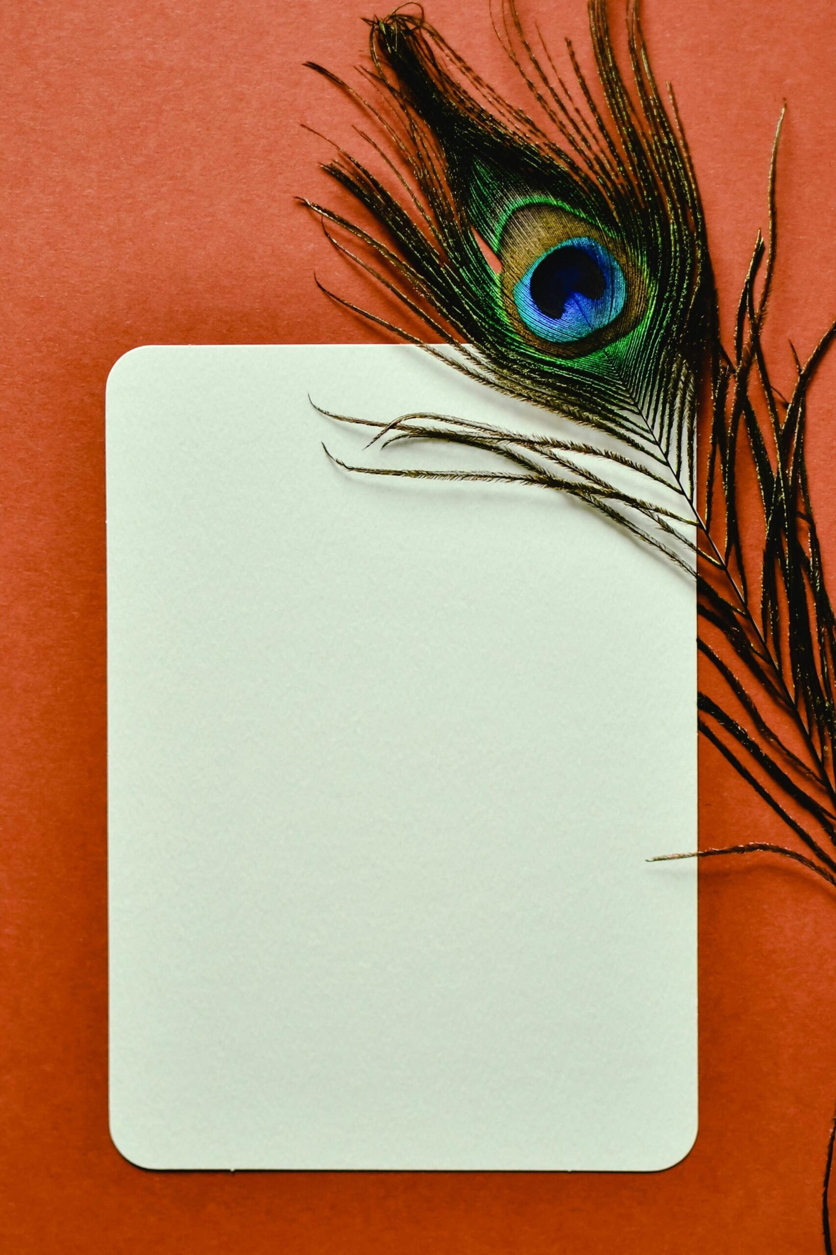 Thawt Drop of the Day